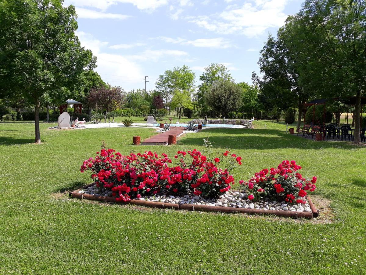 Dogana Vecchia - Hotel & Residence B&B Ristorante & Pizzeria Trivignano Udinese Buitenkant foto