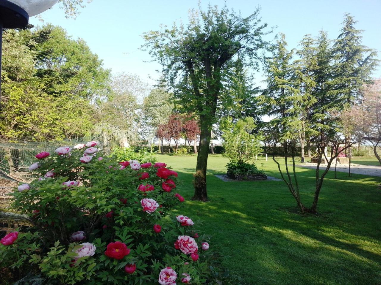 Dogana Vecchia - Hotel & Residence B&B Ristorante & Pizzeria Trivignano Udinese Buitenkant foto
